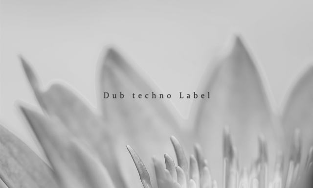 テクノ dub abstract 系 レコード 10枚セット テクノ dub abstract 系 レコード 10枚セット テクノ dub abstract 系